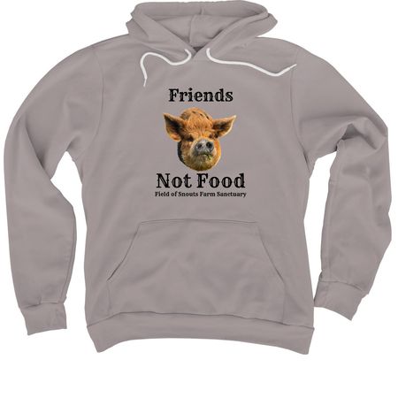 Friends not food, a Storm Premium Pullover Hoodie