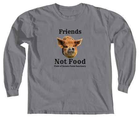 Friends not food, a Granite Comfort Colors Long Sleeve Tee