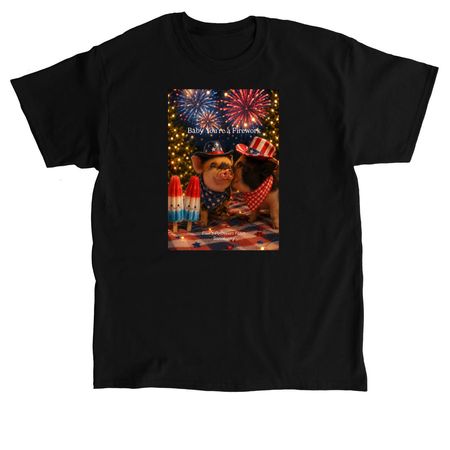 Baby you?re a firework 2026, a Black Classic Unisex Tee