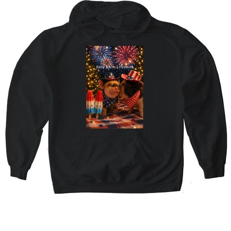 Baby you?re a firework 2026, a Black Gildan Softstyle Pullover Hoodie