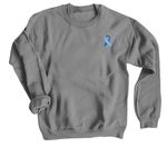 Nobody Fights Alone Collection, a Charcoal Crewneck Sweatshirt (back-view)