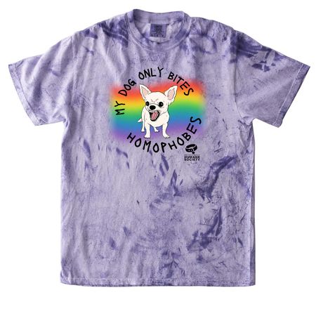 Pride 2024 - Beware of Dog, a Amethyst Comfort Colors Colorblast Tee