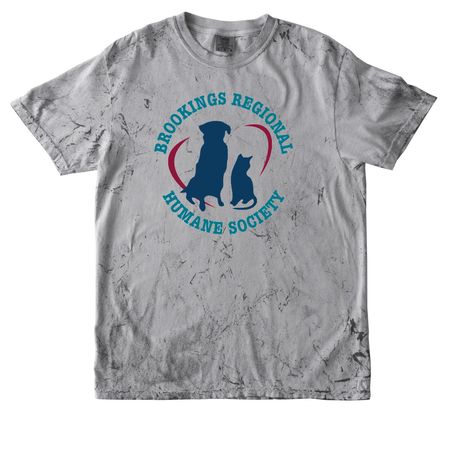 Spring 2026, a Smoke Comfort Colors Colorblast Tee