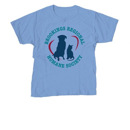 Spring 2026, a Carolina Blue Youth Unisex Tee
