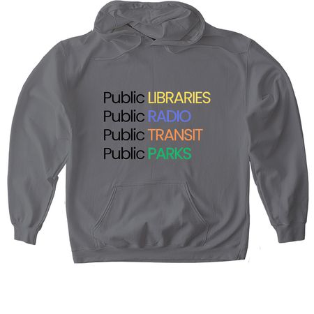 PUBLIC, a Charcoal Gildan Softstyle Pullover Hoodie