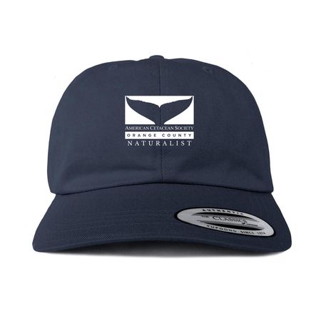 NATURALIST Hat Classic Logo, a Navy Printed Classic Baseball Cap