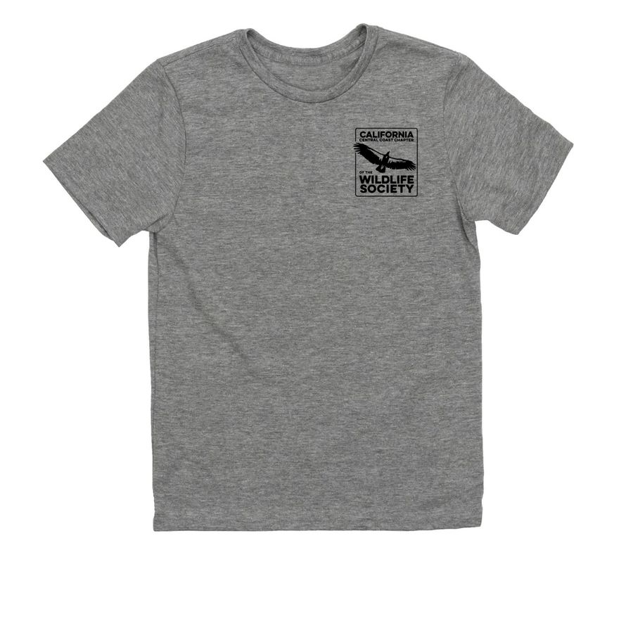ytt Tribe Land Back, a Aluminum Grey Allmade Youth Eco Triblend Tee