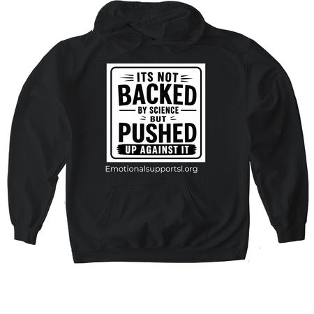 Beyond Chandra, a Black Gildan Softstyle Pullover Hoodie