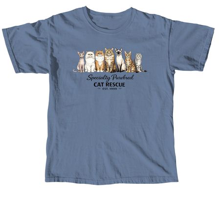 SPCR 2026 Shirts and Sweatshirts, a Blue Jean Comfort Colors Unisex Tee