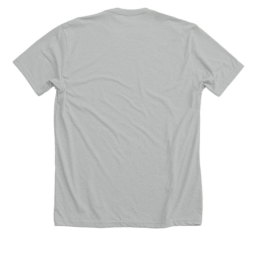 Nadie Es Ilegal / No One Is Illegal, a New Silver American Apparel Fine Jersey Cotton Tee (back-view)