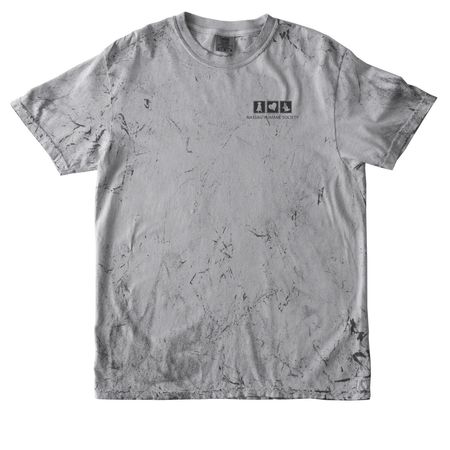 Rescue Routine Tee, a Smoke Comfort Colors Colorblast Tee