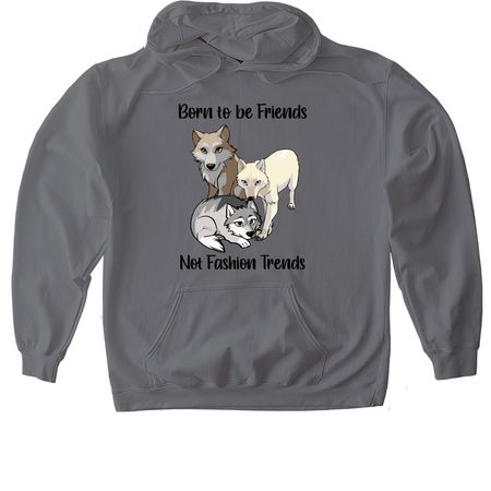 Born to be Friends, Not Fashion Trends!, a Charcoal Gildan Softstyle Pullover Hoodie
