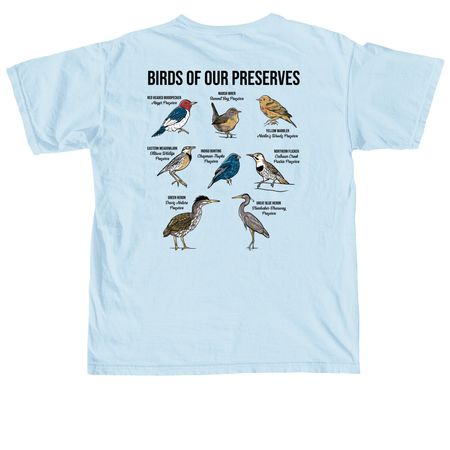 Year of the Birds, a Chambray Comfort Colors Unisex Tee
