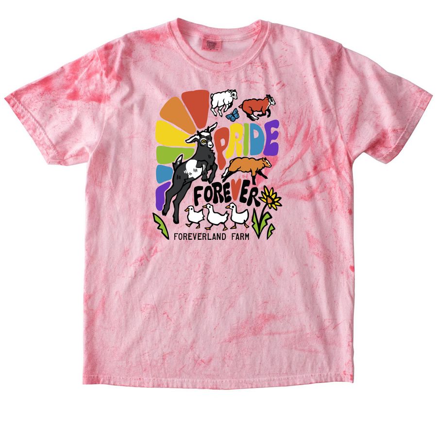Pride Forever 2026, a Clay Comfort Colors Colorblast Tee