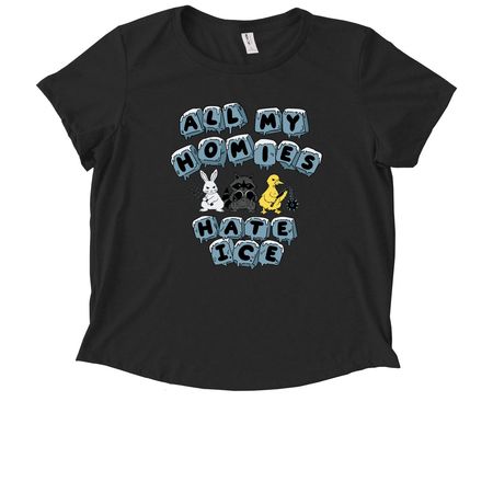 All the Homies, a Deep Black Allmade Eco Triblend Women?s Scoop Neck Tee