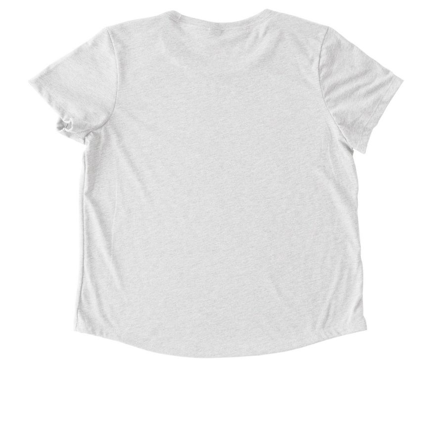 Join the TX resistance! SHUT DOWN DILLEY!, a Fairly White Allmade Eco Triblend Women?s Scoop Neck Tee (back-view)