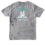 FFK9 Trainers 2025, a Smoke Comfort Colors Colorblast Tee (back-view)