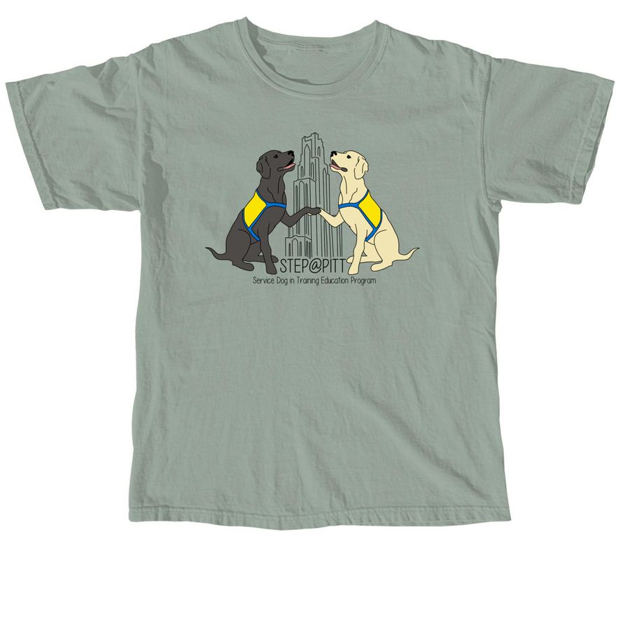 STEP@Pitt Merch Front Design, a Bay Comfort Colors Unisex Tee