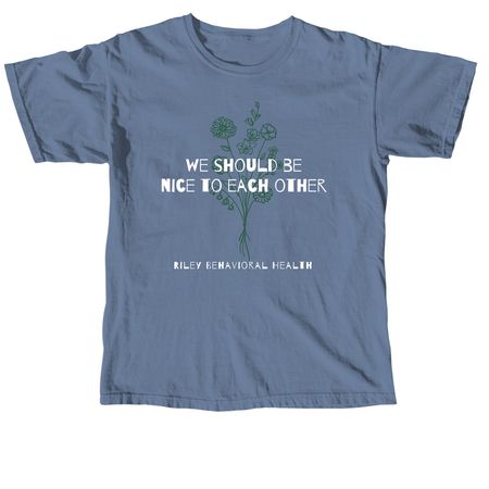 We Should Be Nice to Each Other, a Blue Jean Comfort Colors Unisex Tee