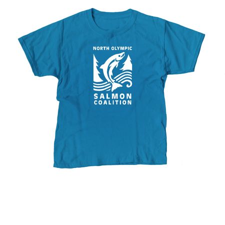 NOSC Tees & Hoodies, a Sapphire Youth Unisex Tee