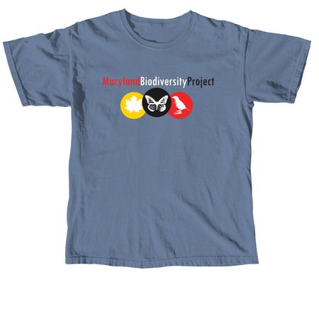MBP Tees and more, a Blue Jean Comfort Colors Unisex Tee