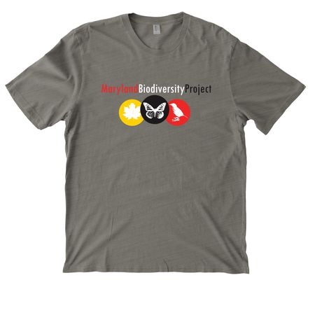MBP Tees and more, a Driftwood Grey Allmade Organic Cotton Mineral Dye Tee