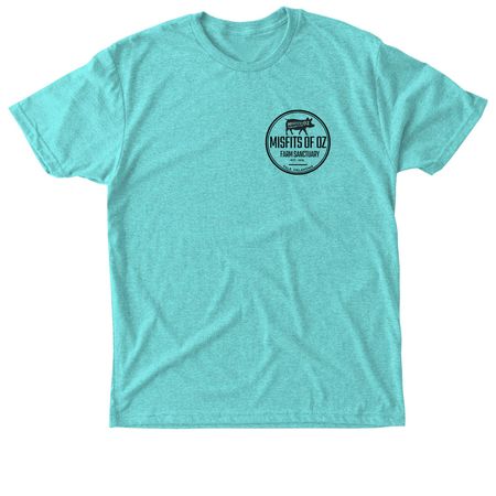 Double sided statement tee, a Tahiti Blue Triblend Unisex Tee