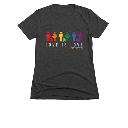 Love is Love, a Charcoal Women's Slim Fit Tee