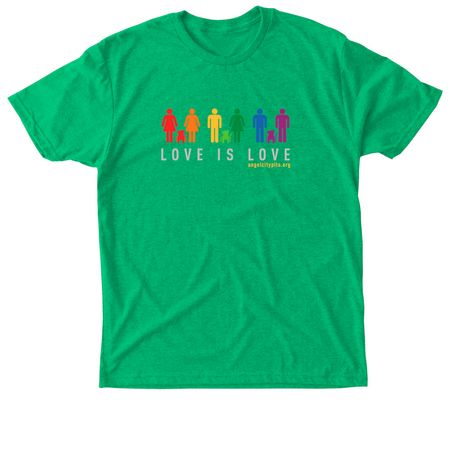 Love is Love, a Envy Triblend Unisex Tee