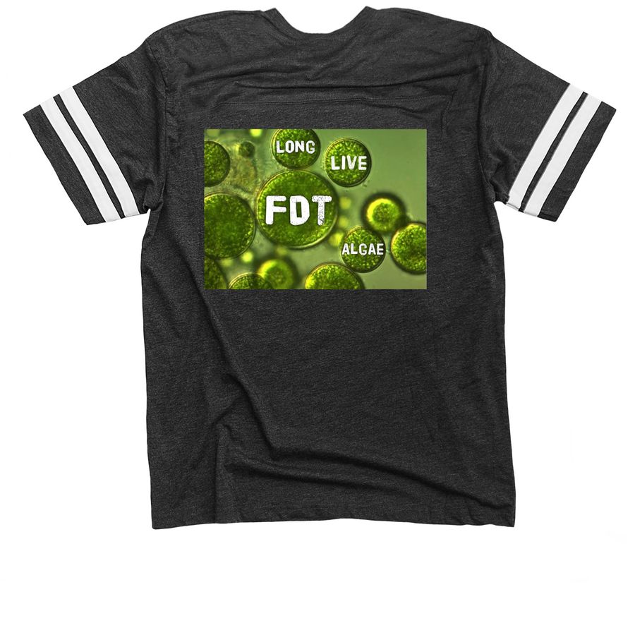 Team Algae - FDT, a Vintage Smoke / White Football Jersey Tee (back-view)