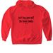 just buy yourself the damn books (black text), a Red Gildan Softstyle Pullover Hoodie