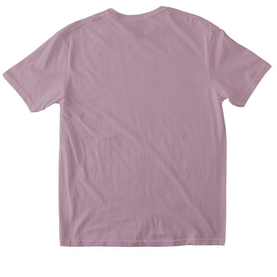 Home Begins With Adoption, a Paragon Softstyle Cotton Tee (back-view)