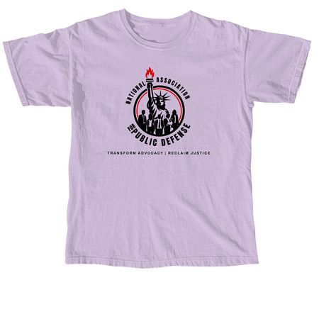 NAPD 2026 Logo, a Orchid Comfort Colors Unisex Tee