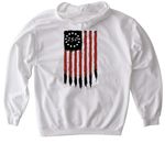 250 American Years!, a White Gildan Softstyle Pullover Hoodie (back-view)