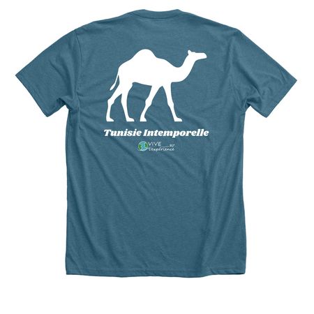 Vive Tunisia 2026, a Heather Deep Teal Premium Unisex Tee