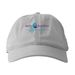 Safe Harbor's 25 Anniversary Hat, a Dolphin