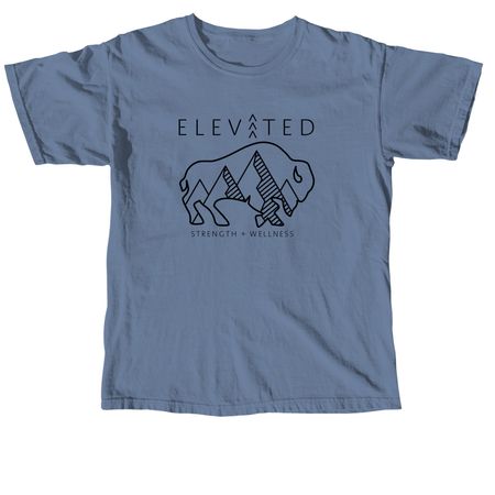 Buffalo Wellness V2, a Blue Jean Comfort Colors Unisex Tee