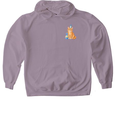 7 Year, a Paragon Gildan Softstyle Pullover Hoodie