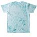 Lake Ida - 2026 Marsh Madness Winner!, a Sea Glass Comfort Colors Colorblast Tee (back-view)