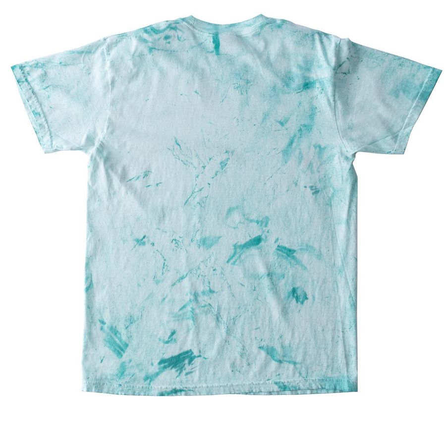 Lake Ida - 2026 Marsh Madness Winner!, a Sea Glass Comfort Colors Colorblast Tee (back-view)