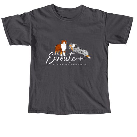 Enroute Redesign, a Graphite Comfort Colors Unisex Tee