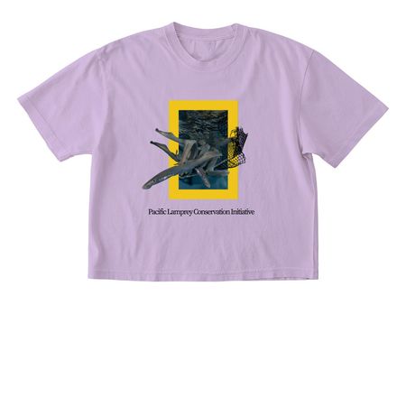 PLCI Trendy, a Orchid Comfort Colors Boxy Tee