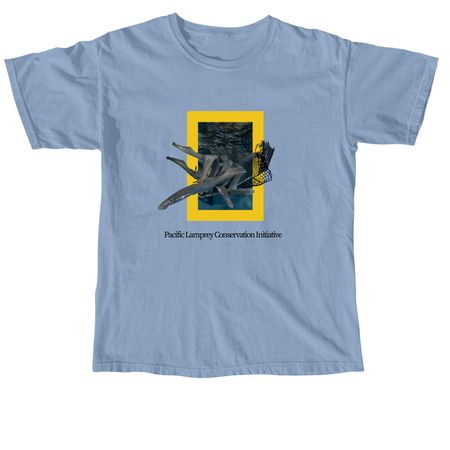 PLCI Trendy, a Washed Denim Comfort Colors Youth Tee