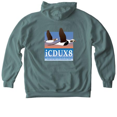 iCDUX8: Sweatshirts - Hoodies (dark), a Blue Spruce Comfort Colors Pullover Hoodie (back-view)