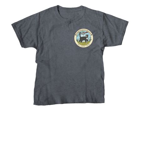 No Balls, No Brawls, a Dark Heather Youth Unisex Tee