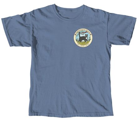 No Balls, No Brawls, a Blue Jean Comfort Colors Unisex Tee