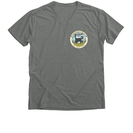 No Balls, No Brawls, a Deep Heather Premium V-Neck Tee