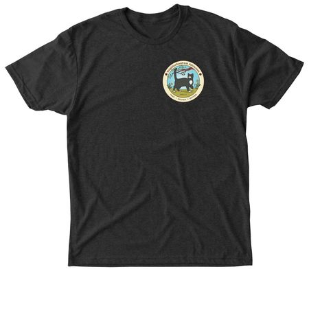 No Balls, No Brawls, a Vintage Black Triblend Unisex Tee