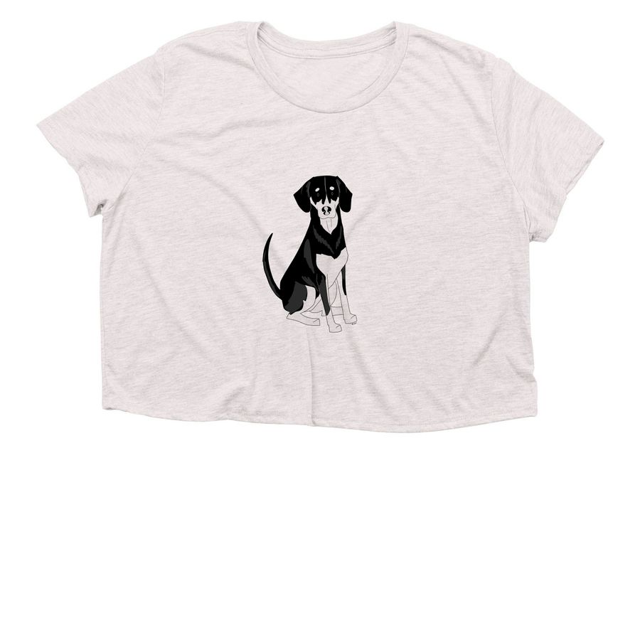 Willow, a Heather Dust Women?s Flowy Cropped Tee