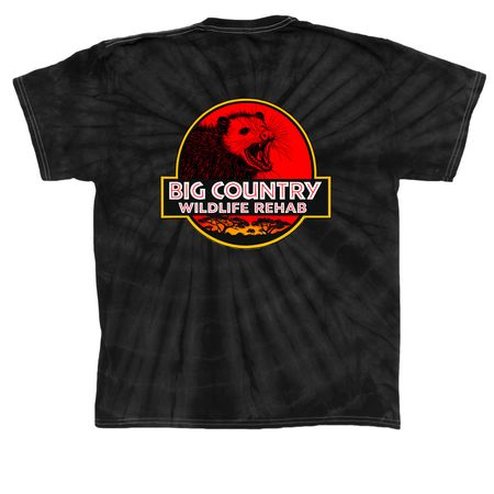 A Walk In The Park, a Black Classic Tie Dye Tee